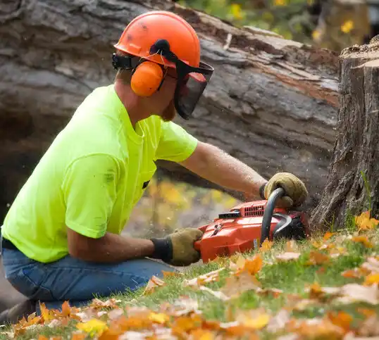 tree services Powhatan Point